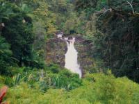 Hilo hike: Akaka Falls State Park