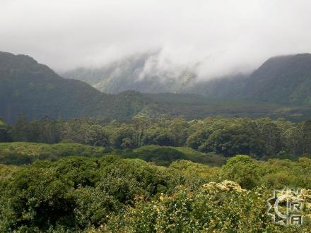 Honokaa hike: Waipi'o Valley