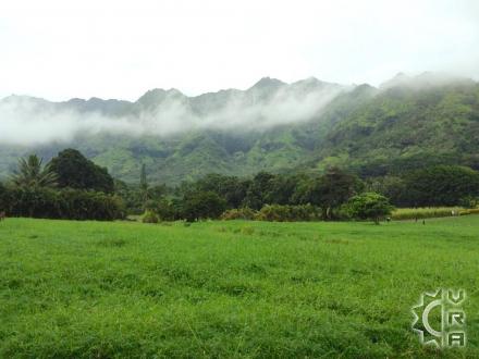 Wailua hike: Sleeping Giant
