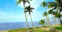 Maui beachfront rentals