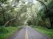 p30559_gallery_69deab288f1f67.90831429.jpg
