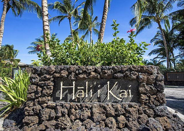 p33689_full_69f41c3b9366e3.36901544.jpg