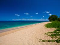 Hawaii ocean view rentals