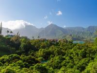 Princeville condo rental: Hanalei Bay Villa - 3BR Townhouse Mountain View Condo #12