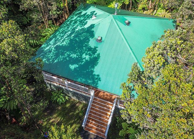 p40238_full_69f3fb3fe52da5.18514595.jpg