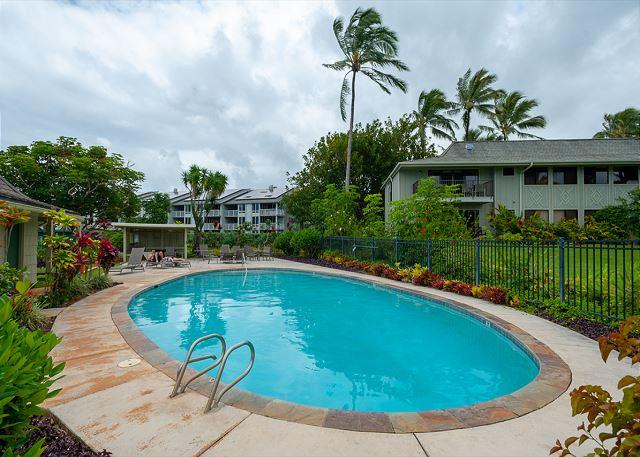 p43217_full_69ef04e165b401.13280170.jpg