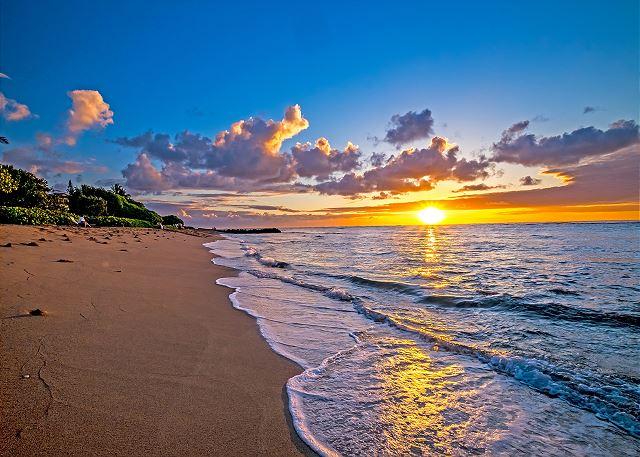 p4669_full_69f3be441c63c5.78423595.jpg