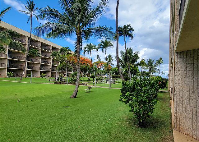 p7254_full_69e68f487b69a6.30993765.jpg