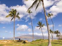 Kihei condo rental: Maui Sunset - 2BR Condo Ocean View #220B