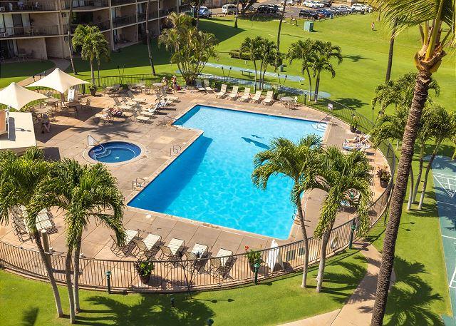 p7299_full_69f3be75a182a7.45565670.jpg