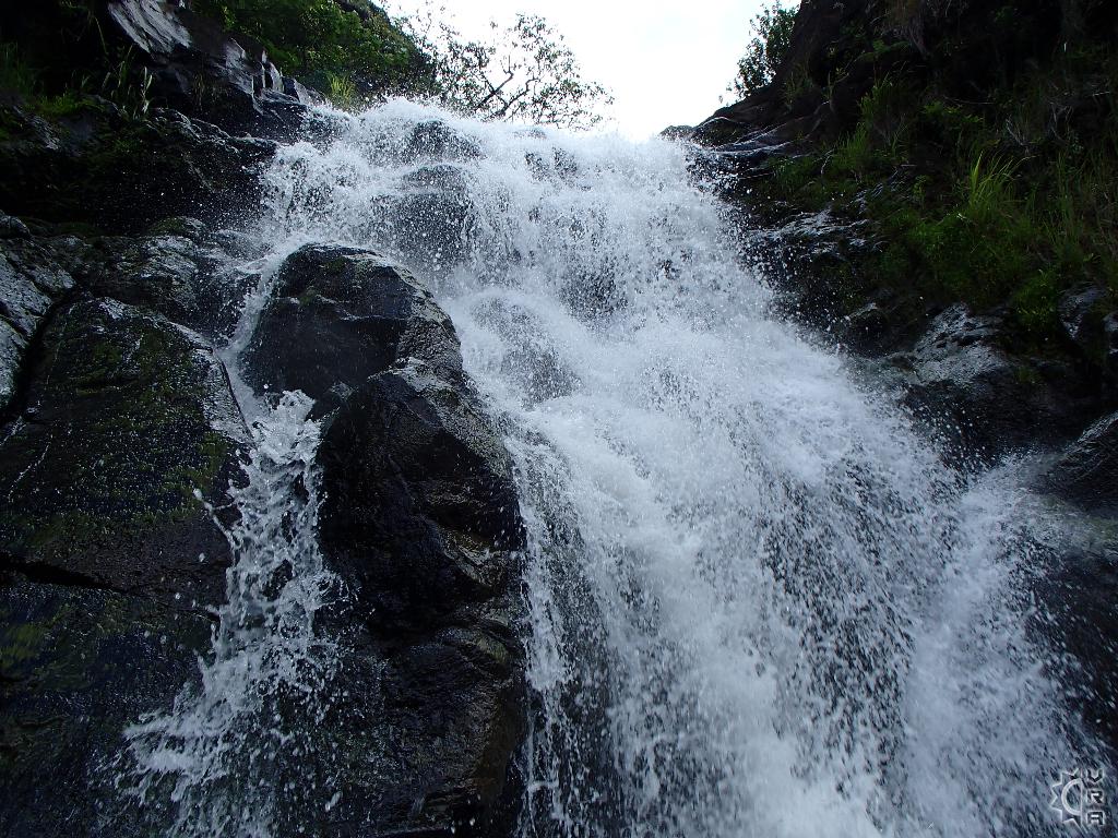 Visit Waimea Valley Park In North Shore Oahu Hawaii Hawaiian