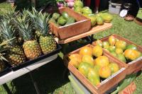 Hanalei thingtodo: Enjoy Kauai's Farmer's Markets