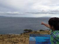 Maalaea thingtodo: Whale Watching at Papawai Scenic Lookout