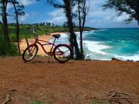 Kapaa thingtodo: Bike the Coconut Coast aka Ke Ala Hele Makalae