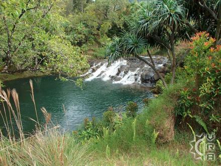 Kalihiwai thingtodo: Horseback ride to Silver Falls