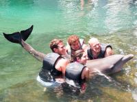 Kahala thingtodo: Dolphin Quest at the Kahala Resort