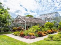 Honolulu thingtodo: Foster Botanical Garden