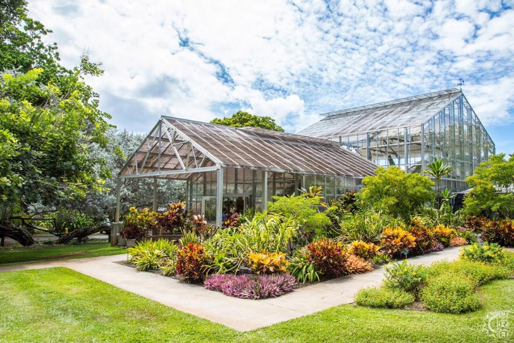 Foster Botanical Garden In Honolulu Oahu Hawaii Hawaiian Beach Rentals