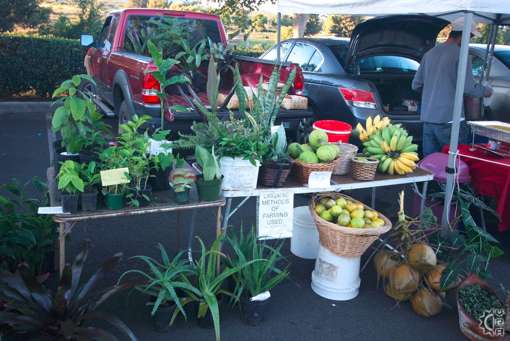 Upcountry Farmers Market - All You Need to Know BEFORE You Go (with Photos)