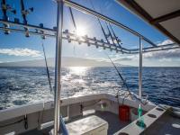 Maalaea thingtodo: Deep Sea Fishing with Maui Fun Charters