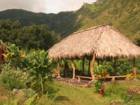 Wailuku thingtodo: Hawaiian Village Tour