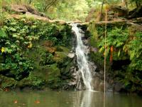 Hana thingtodo: Waikamoi Falls