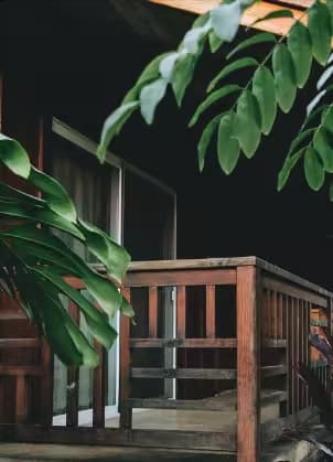 BIG ISLAND BIG ISLAND